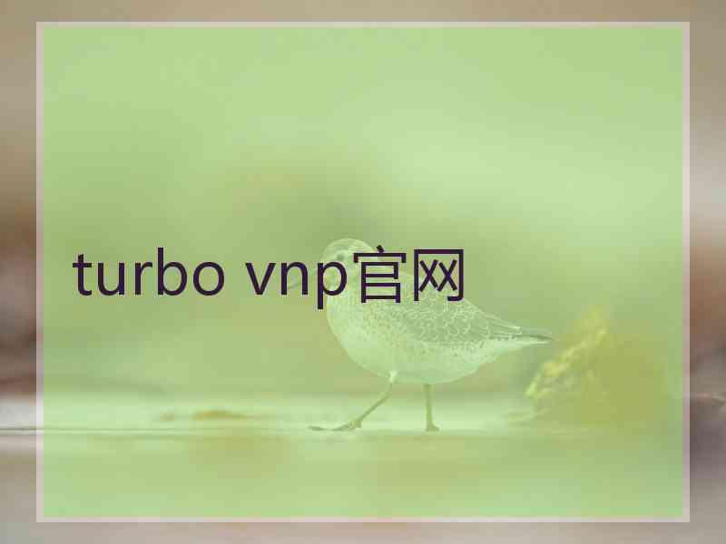 turbo vnp官网