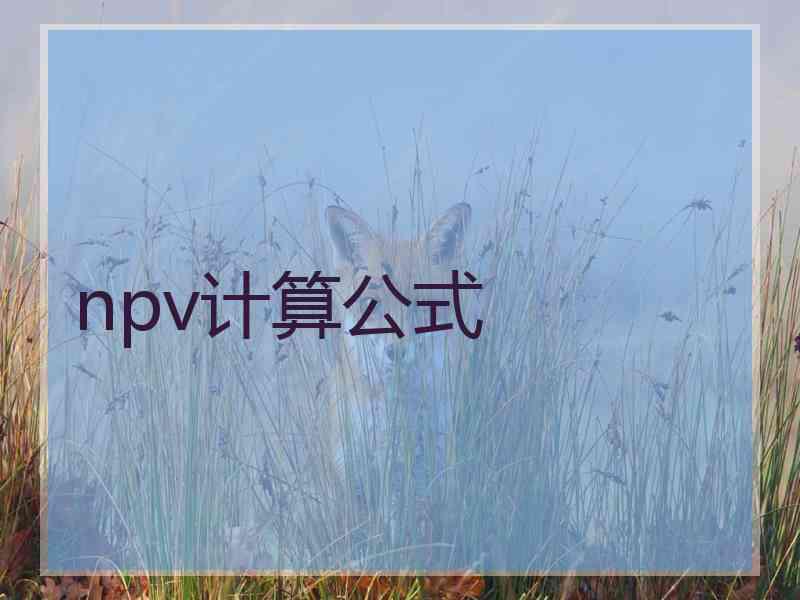 npv计算公式