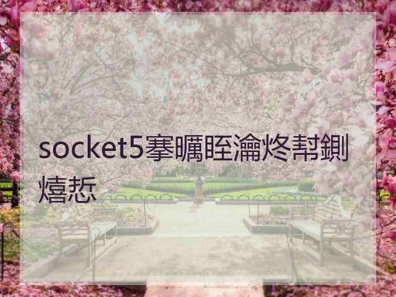 socket5搴曞眰瀹炵幇鍘熺悊