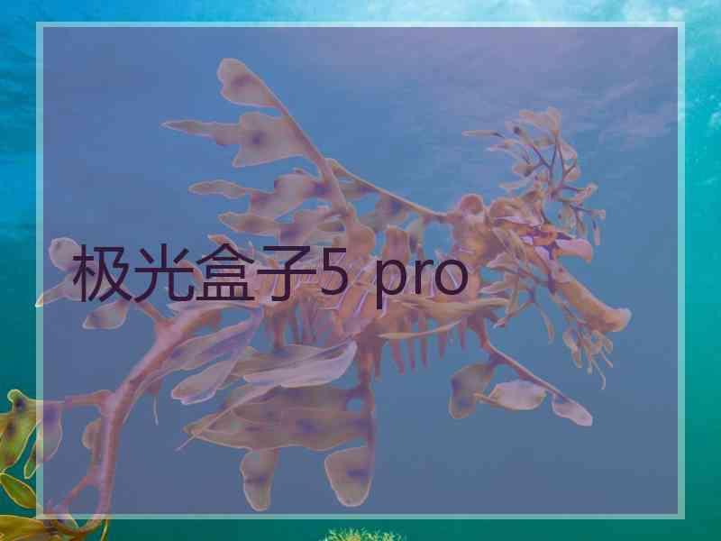 极光盒子5 pro