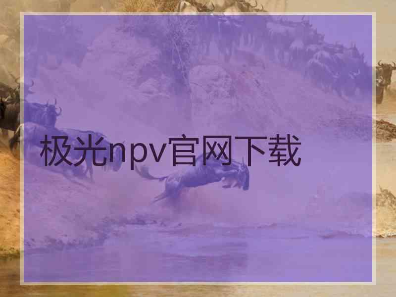 极光npv官网下载