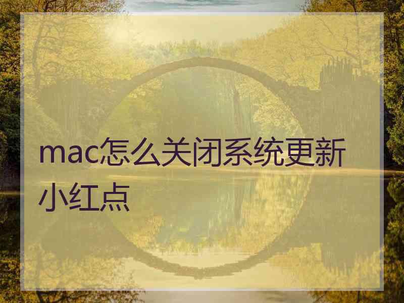 mac怎么关闭系统更新小红点