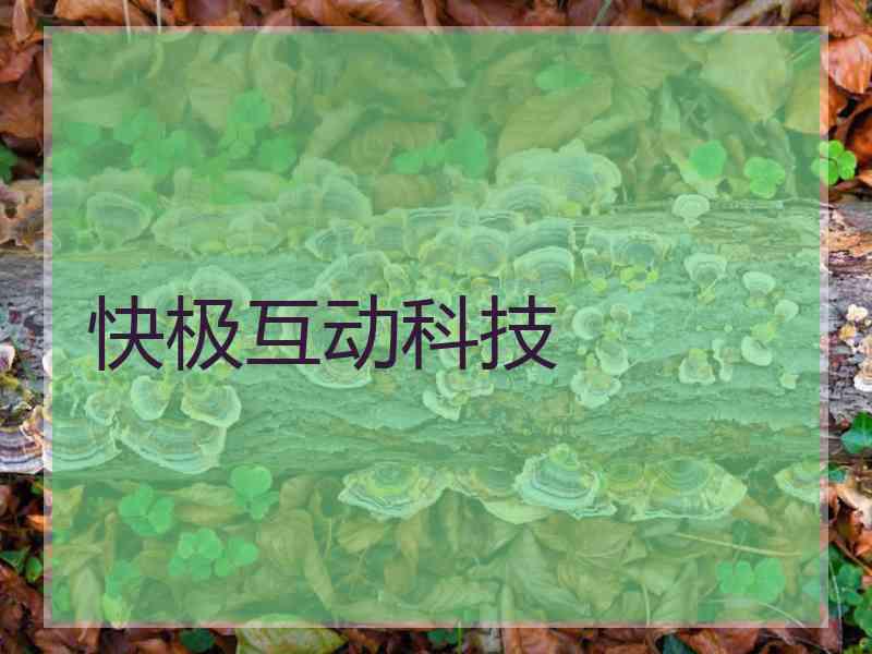 快极互动科技