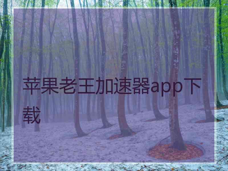 苹果老王加速器app下载