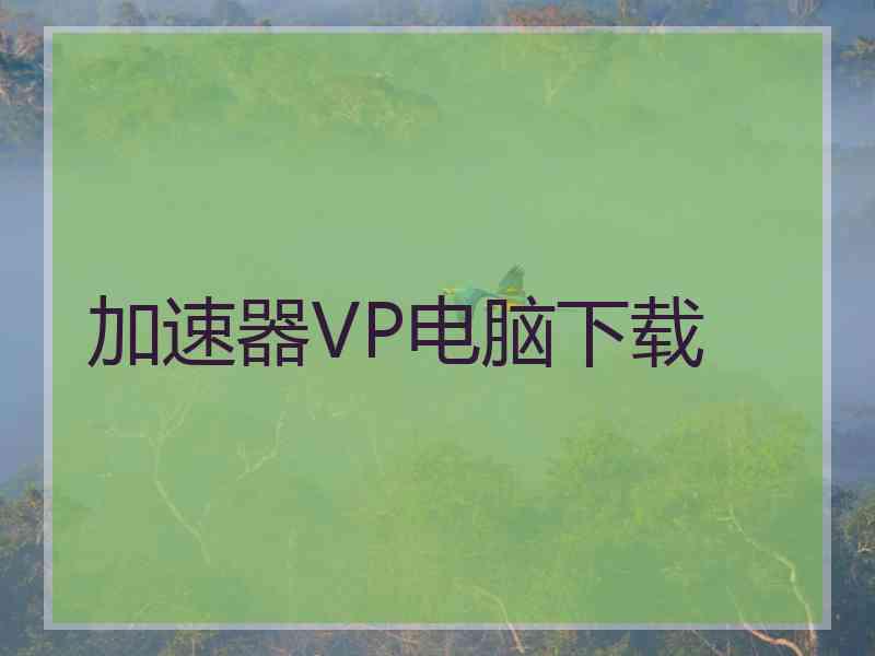 加速器VP电脑下载