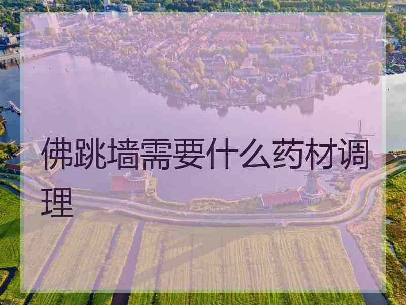 佛跳墙需要什么药材调理