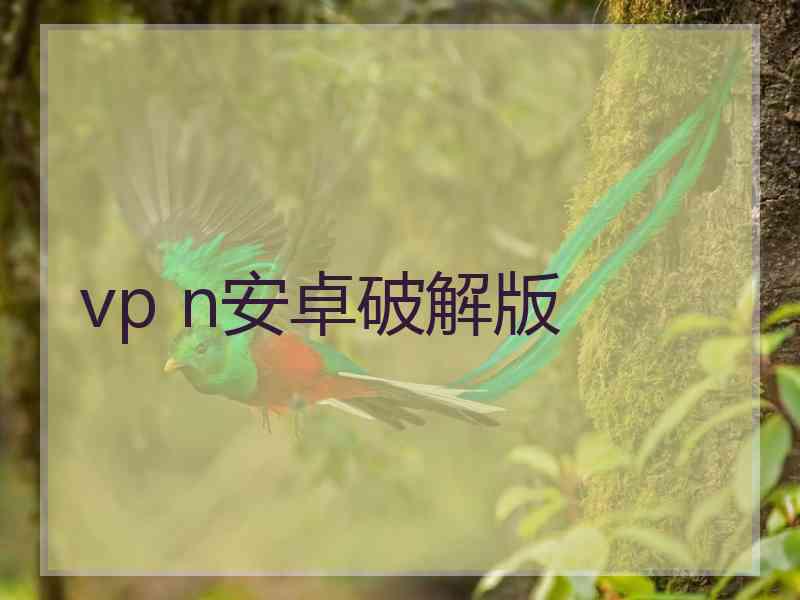 vp n安卓破解版