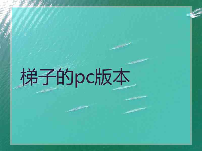 梯子的pc版本