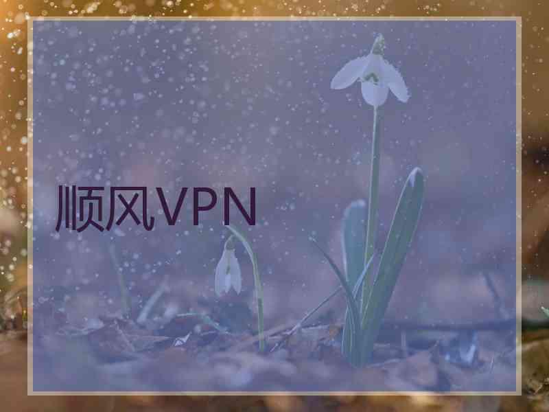 顺风VPN