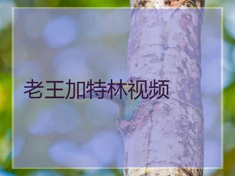 老王加特林视频