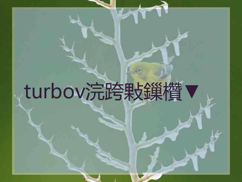 turbov浣跨敤鏁欑▼