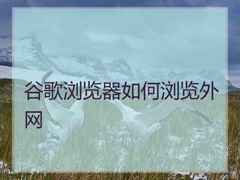 谷歌浏览器如何浏览外网