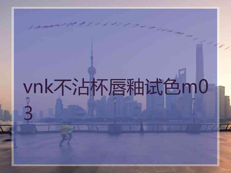 vnk不沾杯唇釉试色m03