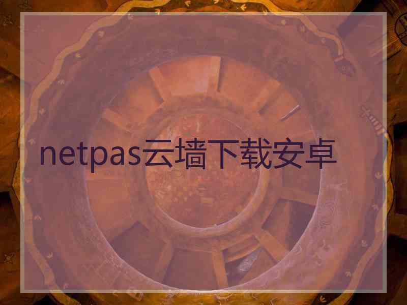 netpas云墙下载安卓