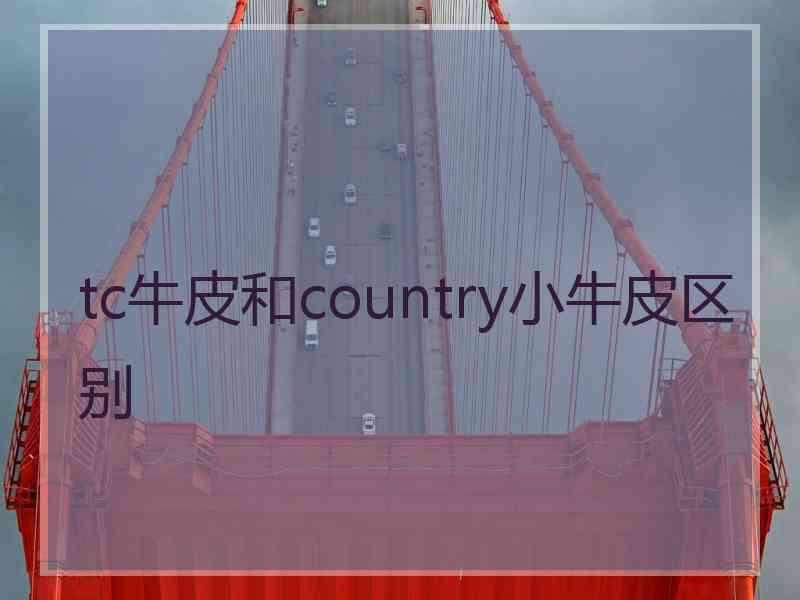 tc牛皮和country小牛皮区别