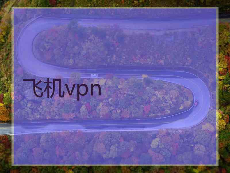 飞机vpn