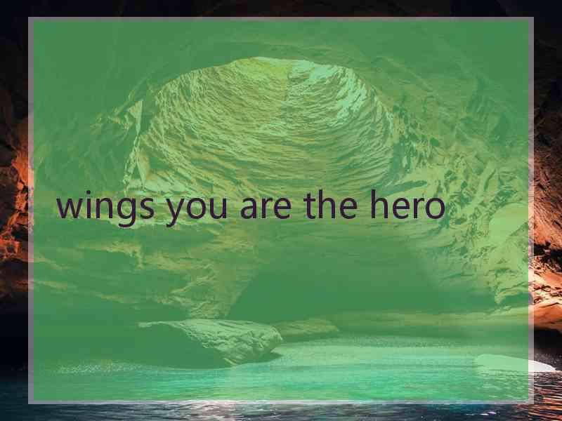 wings you are the hero