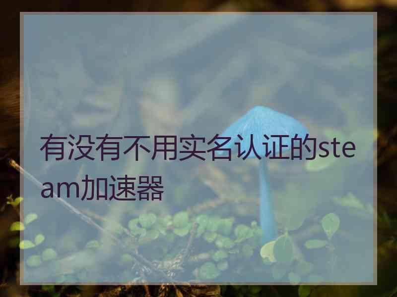 有没有不用实名认证的steam加速器