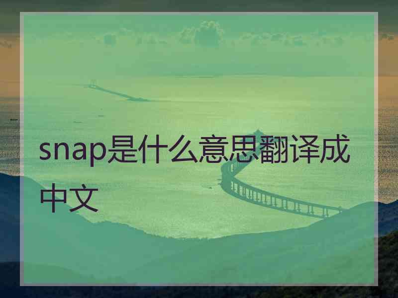 snap是什么意思翻译成中文