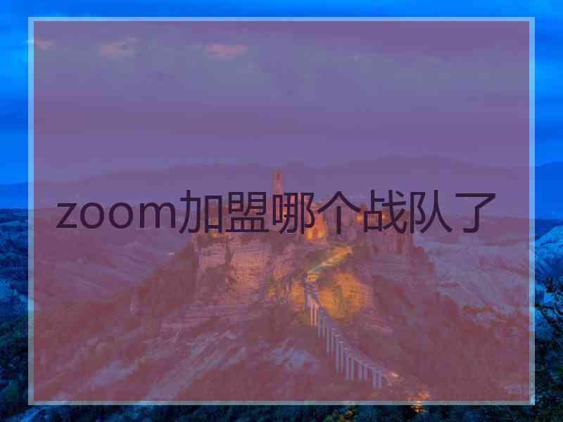 zoom加盟哪个战队了