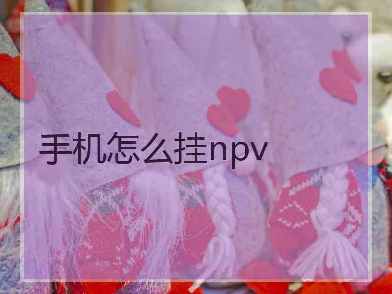 手机怎么挂npv