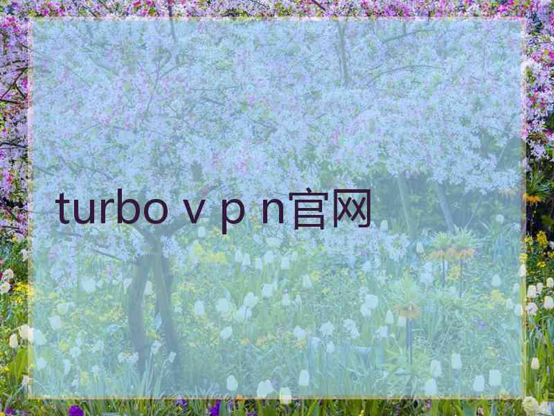 turbo v p n官网