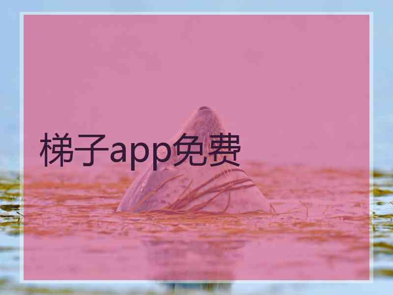 梯子app免费