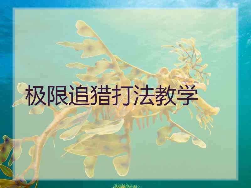 极限追猎打法教学