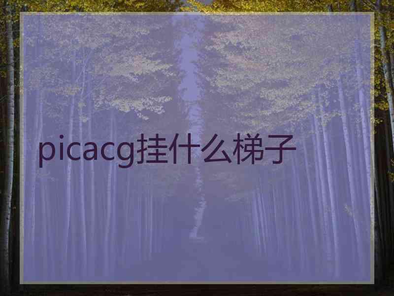 picacg挂什么梯子