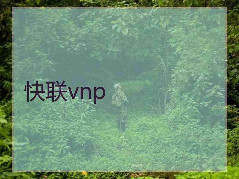 快联vnp