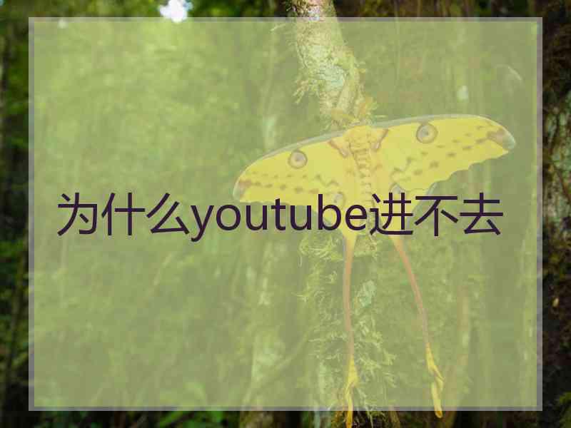 为什么youtube进不去