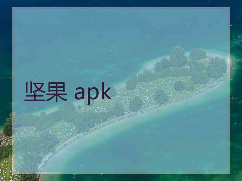 坚果 apk