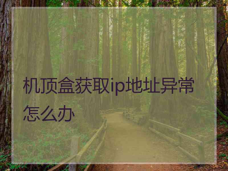 机顶盒获取ip地址异常怎么办