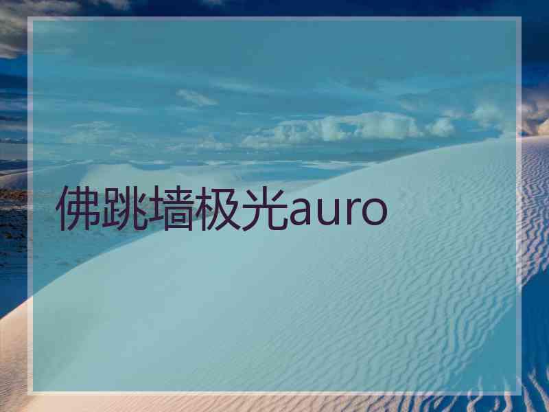 佛跳墙极光auro