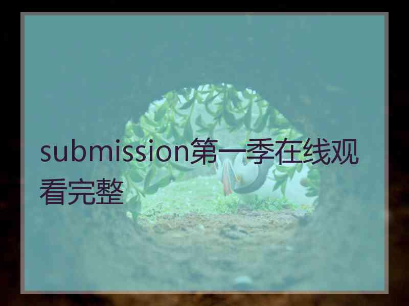 submission第一季在线观看完整