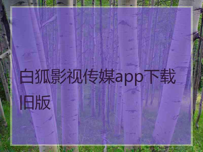 白狐影视传媒app下载旧版