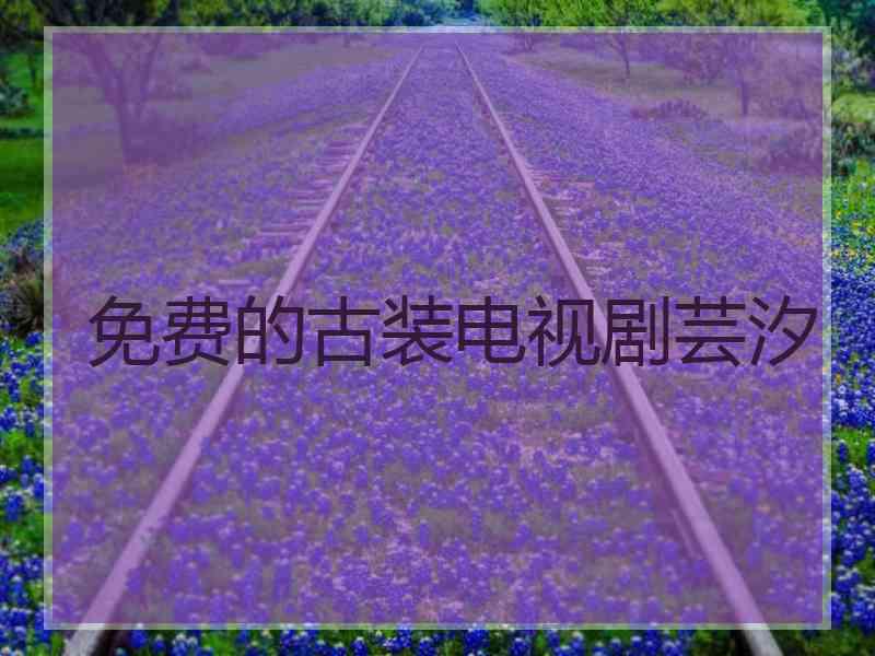 免费的古装电视剧芸汐