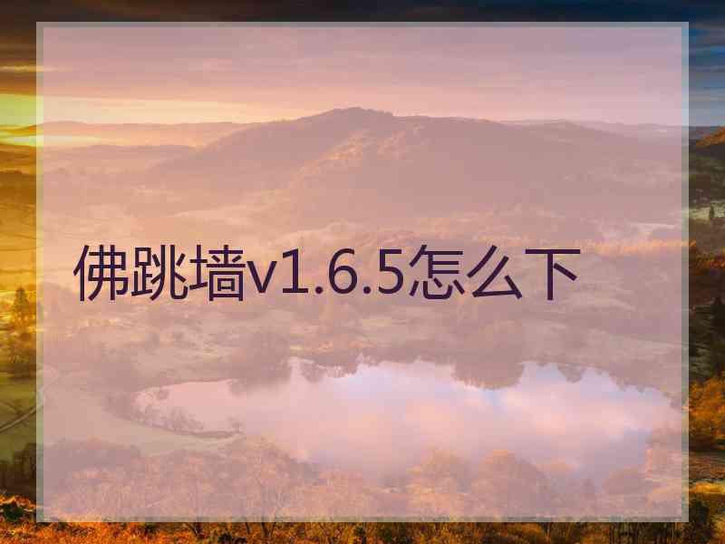 佛跳墙v1.6.5怎么下