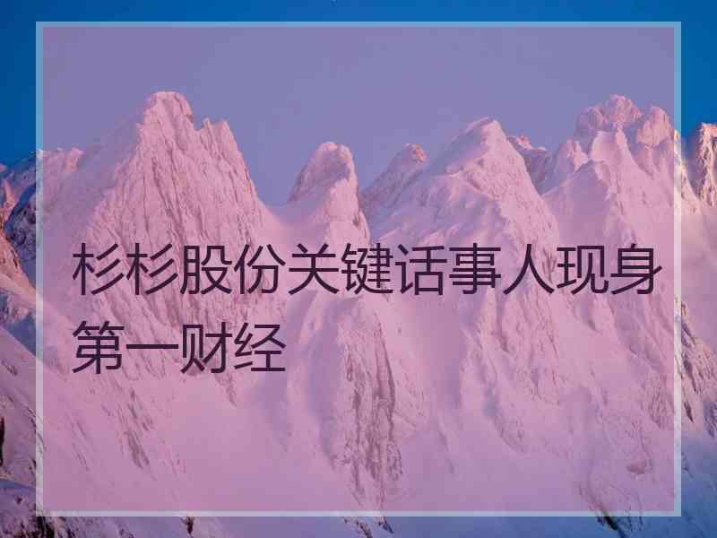 杉杉股份关键话事人现身第一财经