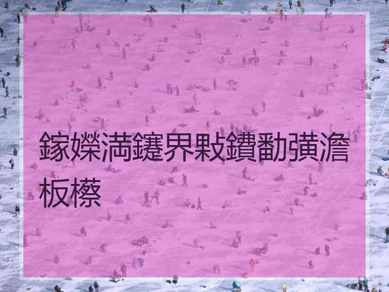 鎵嬫満鑳界敤鐨勫彉澹板櫒