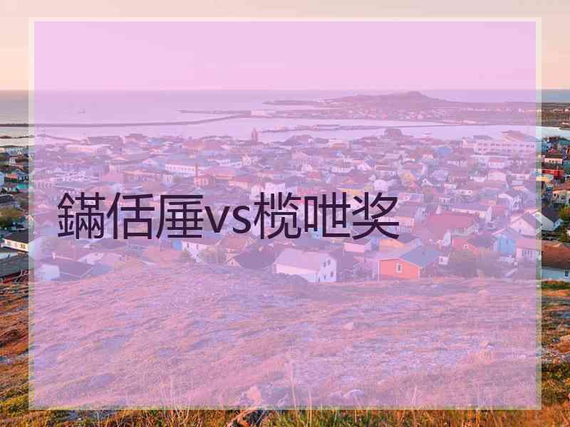 鏋佸厜vs榄呭奖