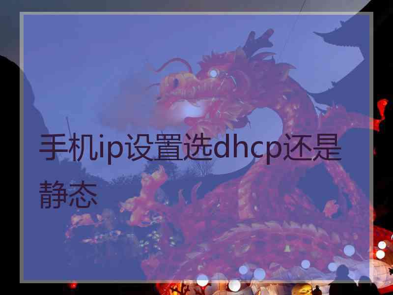 手机ip设置选dhcp还是静态