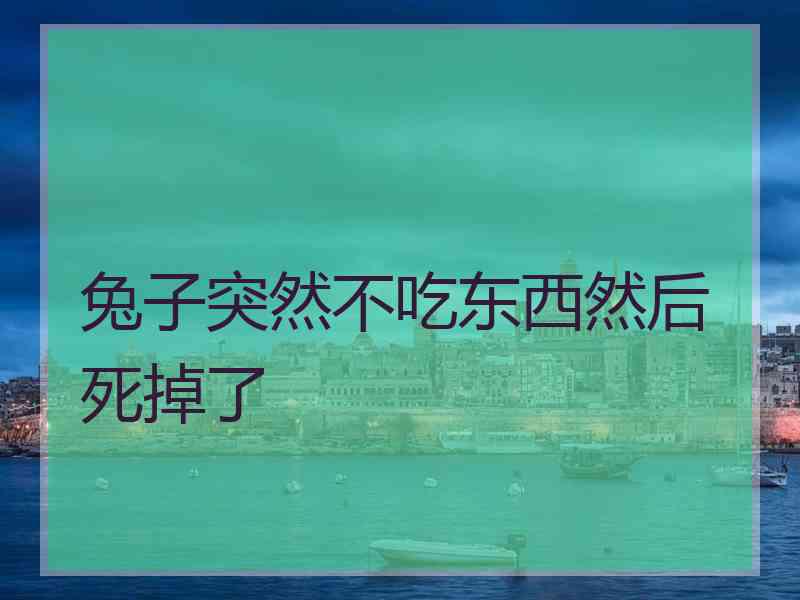 兔子突然不吃东西然后死掉了