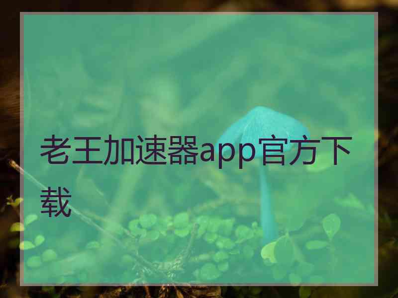 老王加速器app官方下载