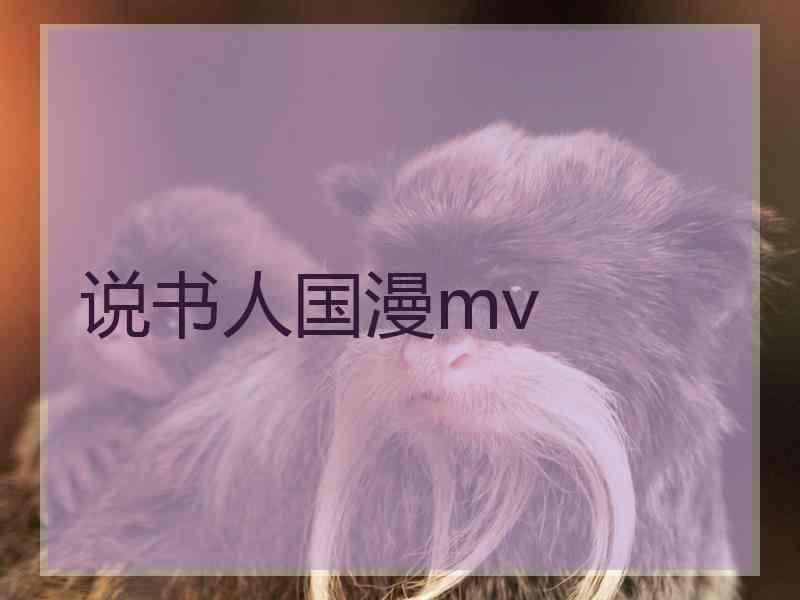 说书人国漫mv