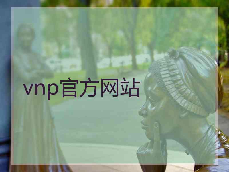 vnp官方网站