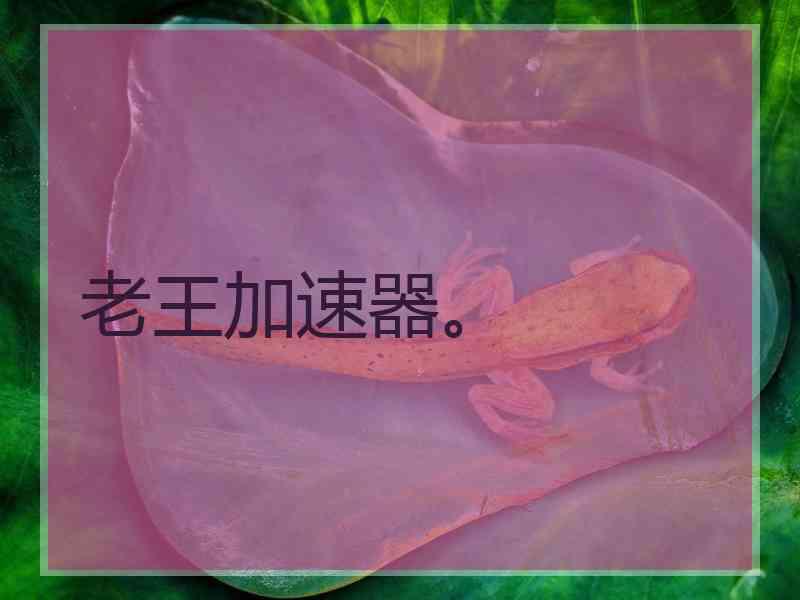 老王加速器。