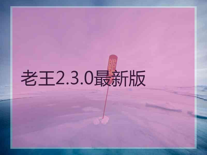 老王2.3.0最新版