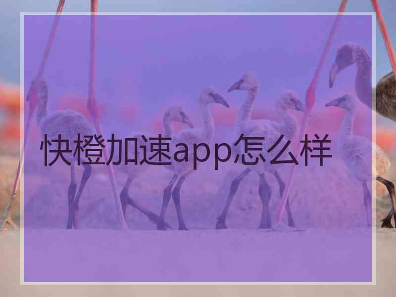 快橙加速app怎么样