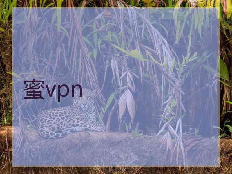 蜜vpn